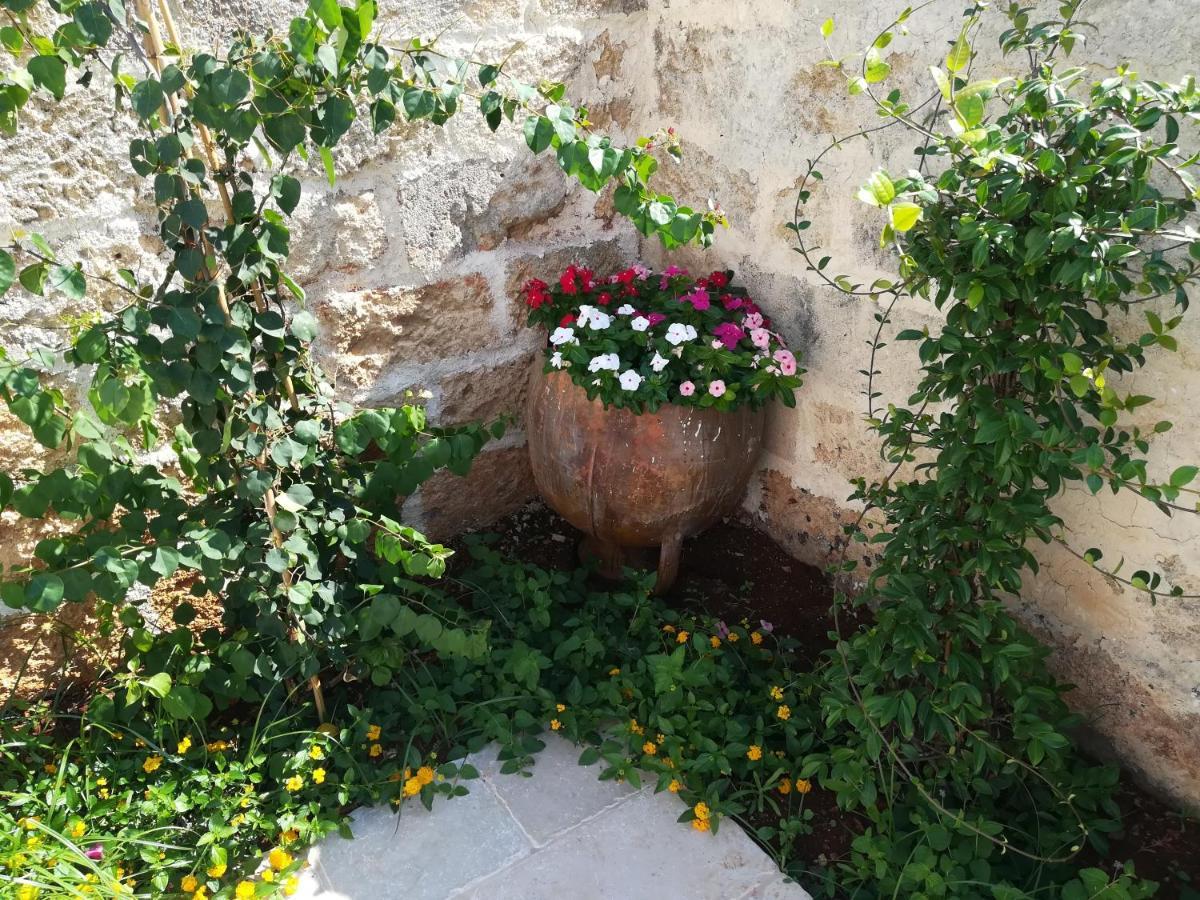 Bed and Breakfast Dimora Maltese à Morciano di Leuca Extérieur photo